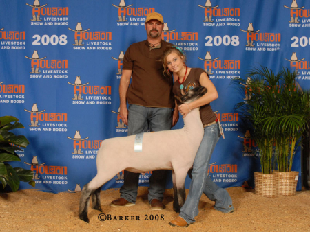 2008-HLS-