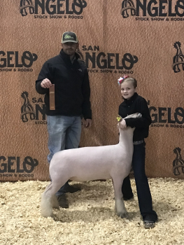 2018 Angelo SD 2