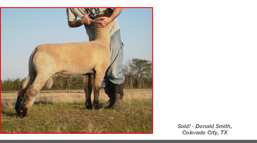 empire sire
