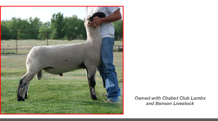 freak sire