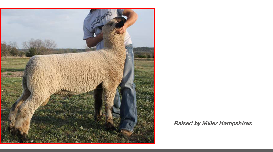 wofactor