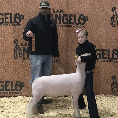 2018 Angelo SD 2