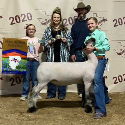 2020 Champion Ewe County
